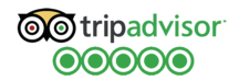 Trip Advisor